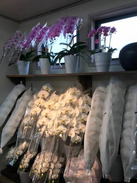 神奈川県大和市の花屋 中村ガーデンにフラワーギフトはお任せください 当店は 安心と信頼の花キューピット加盟店です 花キューピットタウン